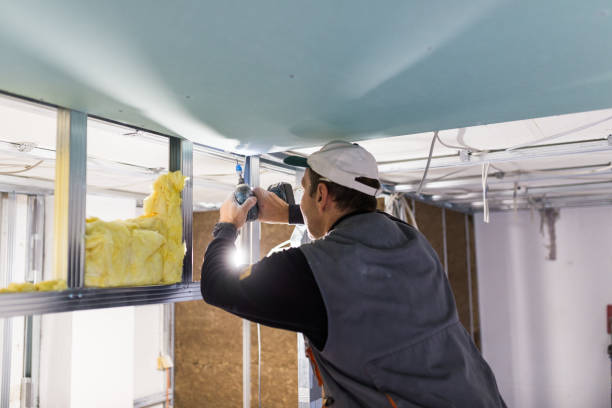 Best Residential Insulation in Fountain, CO