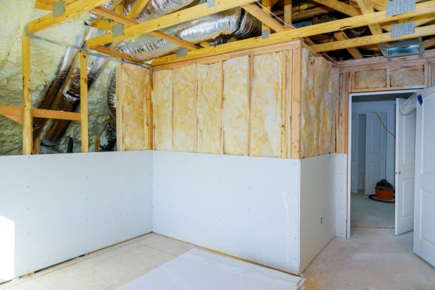 Best Insulation Maintenance and Repair in Fountain, CO