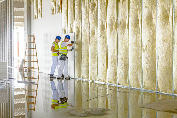 Best Geographic-Specific Insulation Services in Fountain, CO